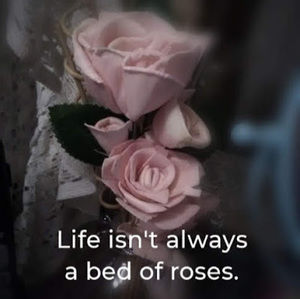 Meet your Posher, Dawn